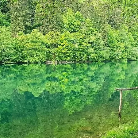 Casa Bosco Levico Terme