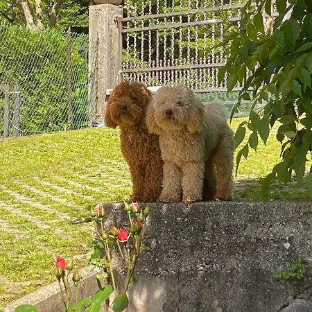 Casa Bosco * Levico Terme